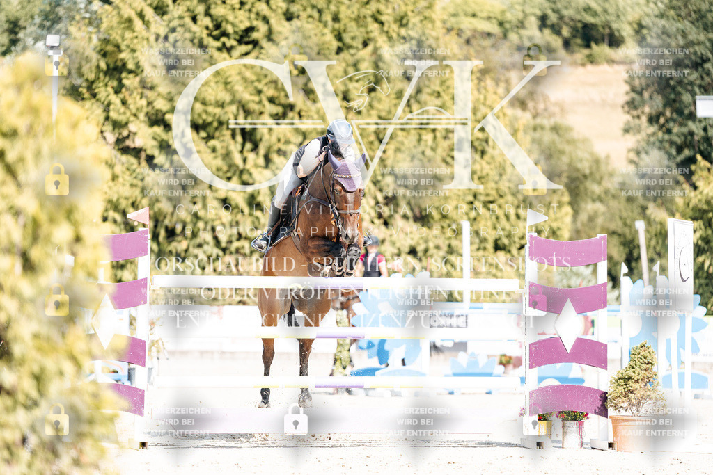 CK909109 | Turnierfotografie Pferdefotografie Trier Rheinland-Pfalz Pferdesport Reitsport Tierfotografie Sportfotografie Pferdevideo Pferdevideografie Equestrianvideography equestrianphotography  - Realisiert mit Pictrs.com