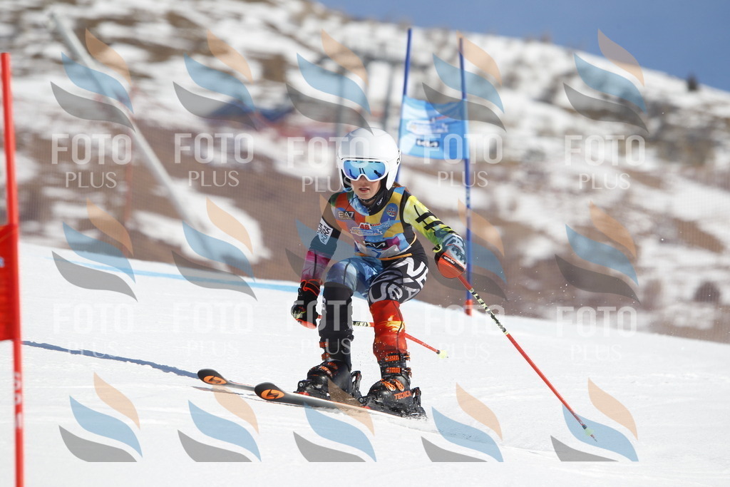 _U3G8606 | holidayphoto