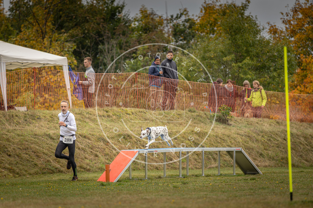 Pfotenfotografie_DV3A2690 | Hundefotografie, Tierfotograf, Pfotenfotografie, Fotoshooting Hund, Hunde Portrait, Hundesport, Hundeportraits, Heideshooting, Hunde, Sportfotograf, Hundefotograf, Turnierhundsport, THS,  - Realisiert mit Pictrs.com