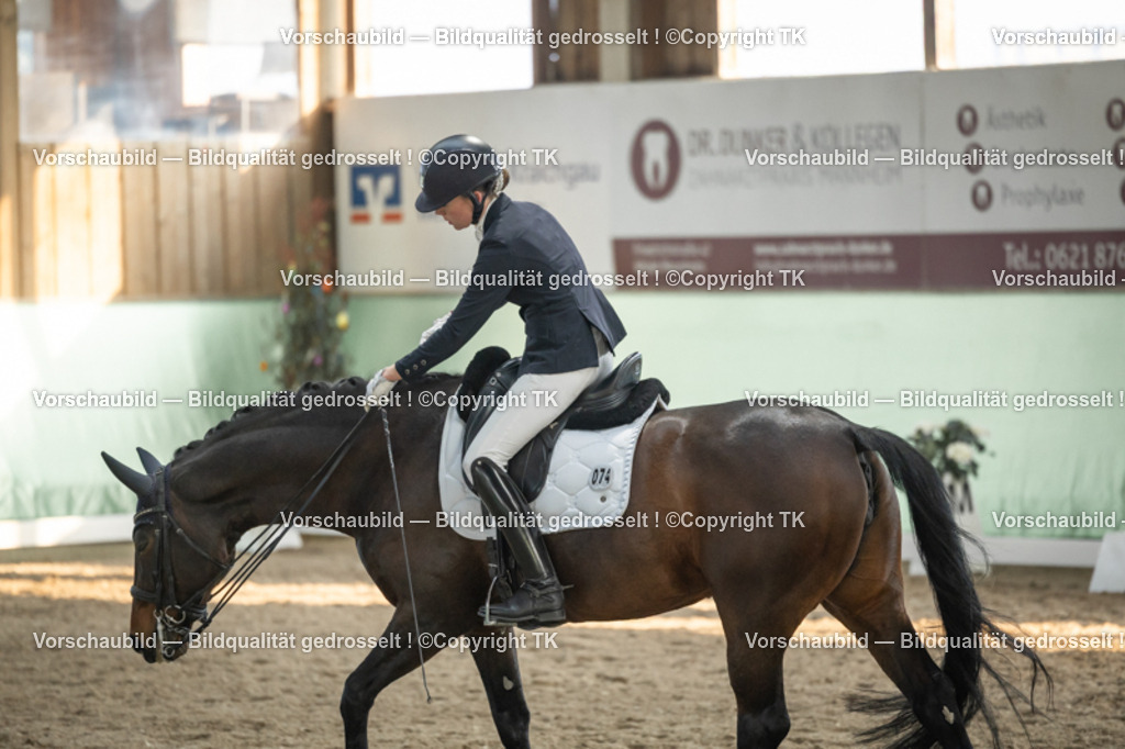 _D5A3280 | Emotionale Pferde- & People-Fotografie rund um Heidelberg, Leimen & Umgebung. Natürliche Fotos von Pferd, Mensch & Familie. Jetzt Termin sichern!