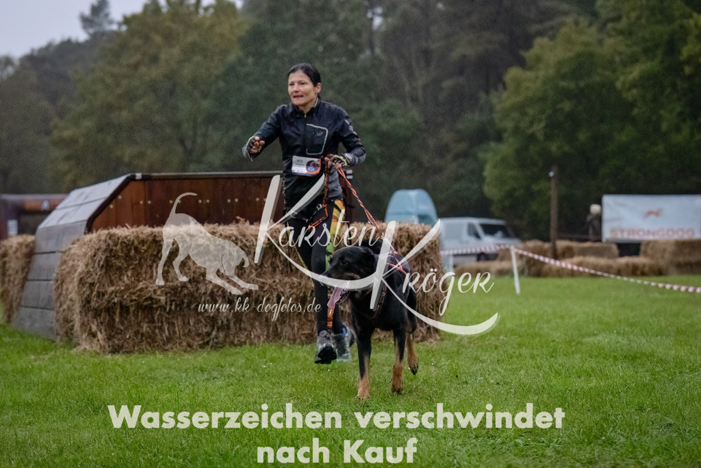 0810-_ZZ90557-Bearbeitet-Bearbeitet | kk-dogfotos