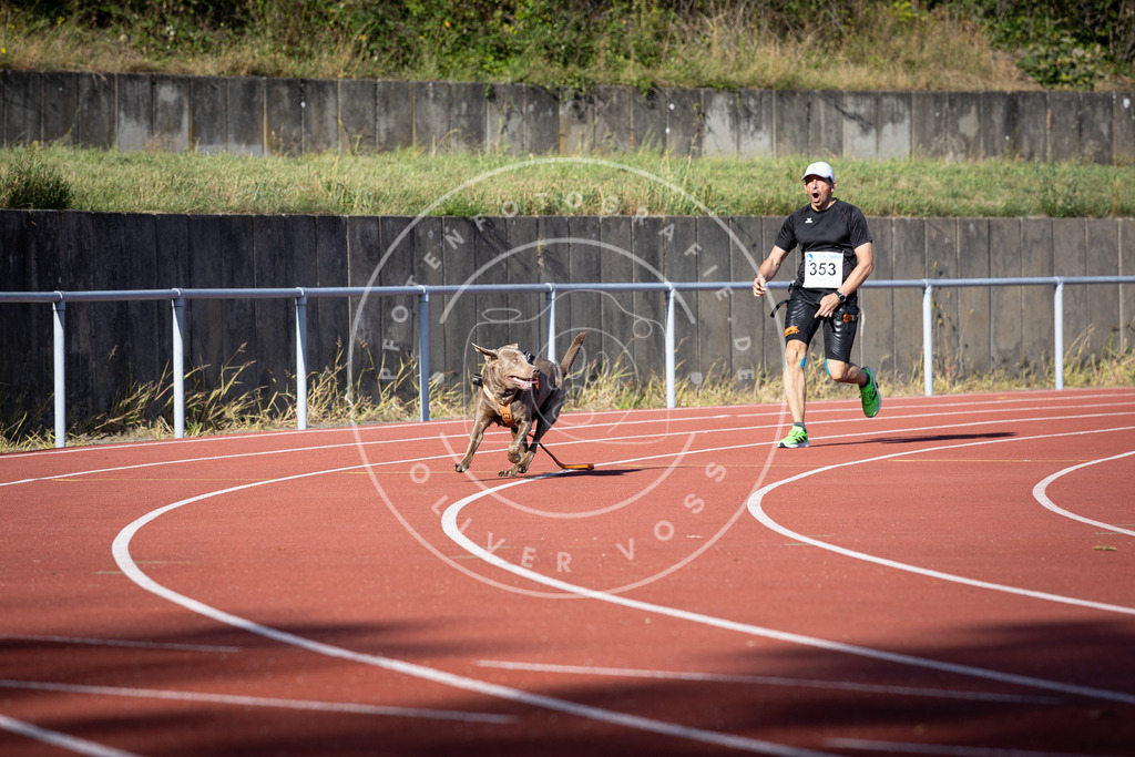 Pfotenfotografie_DV3A9946 | Hundefotografie, Tierfotograf, Pfotenfotografie, Fotoshooting Hund, Hunde Portrait, Hundesport, Hundeportraits, Heideshooting, Hunde, Sportfotograf, Hundefotograf, Turnierhundsport, THS,  - Realisiert mit Pictrs.com