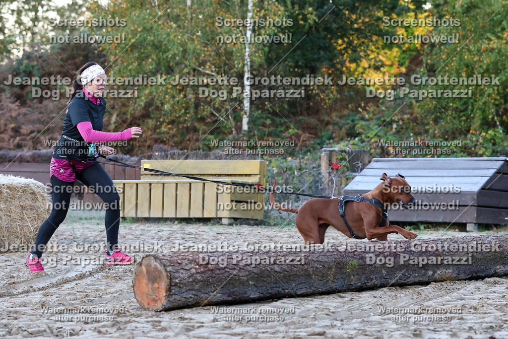 Dog Paparazzi - Strongdog 10-25-30 | Dog Paparazzi Jeanette Grottendiek Fotografie & Videografie - Realisiert mit Pictrs.com