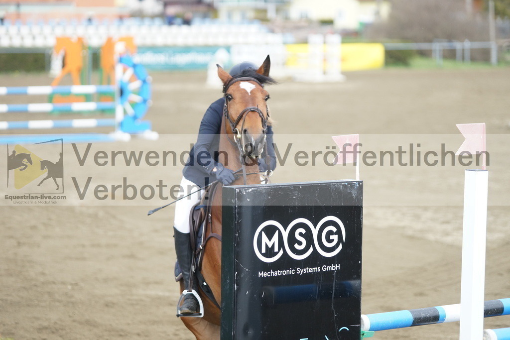 DSC01010 | equestrian-live-com