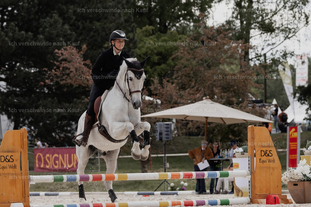 WE_ST_Stoib_312_PI2025_1089 | Pferd International München 2025