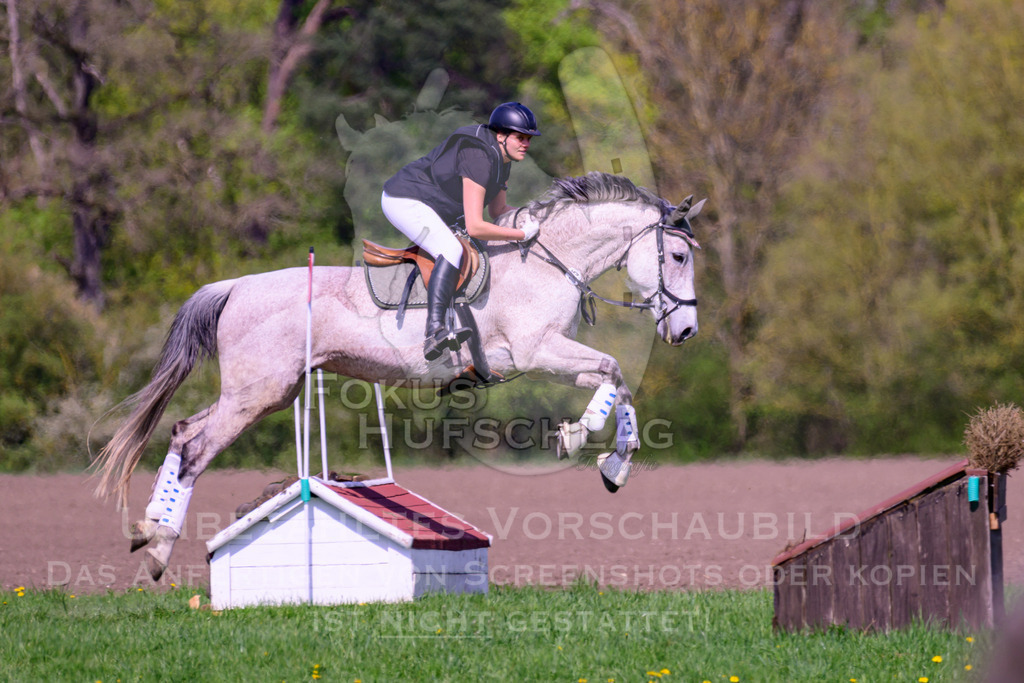 18042026-Gernlinden-01-2-0520 | Fokus Hufschlag Fotografie - Realisiert mit Pictrs.com
