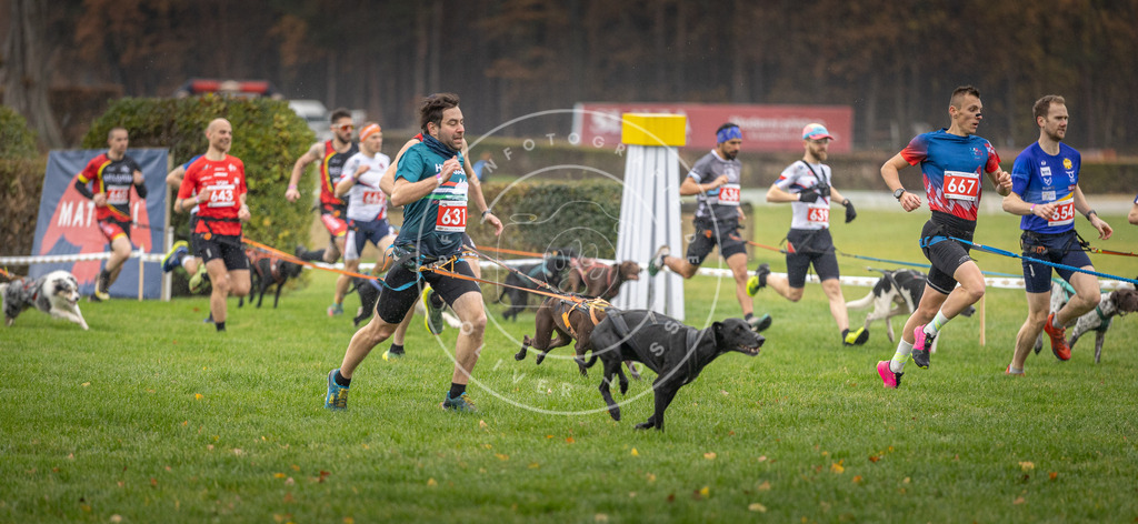 CaniXpix_DV3A9480 | Hundefotografie, Tierfotograf, Pfotenfotografie, Fotoshooting Hund, Hunde Portrait, Hundesport, Hundeportraits, Heideshooting, Hunde, Sportfotograf, Hundefotograf, Turnierhundsport, THS,  - Realisiert mit Pictrs.com