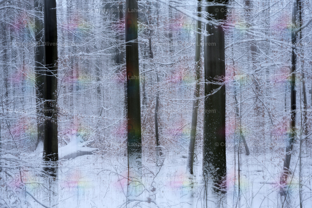 Heimatwald | Blick in den winterlichen Wald von Klein Welzheim / Seligenstadt. Die Bilder wurden mit einer Fotografische Technik aufgenommen und haben dadurch ein spezielle Ästhetik.