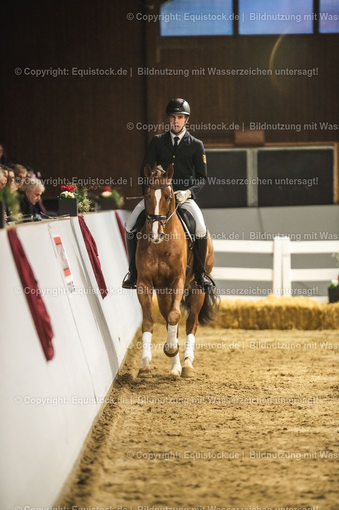 20240302_Hengstvorstellung_Marbach_TOMsPiC_0355 | equistock