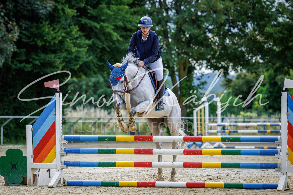 20260705-_3LI4128 | Tierfotografie Pferde, Hunde, Katzen, Haustiere.
Turnierfotografie Reitturniere, Reiten, Springreiten, Dressur in Hanau, dem Main-Kinzig-Kreis und dem Rhein-Main- Gebiet um Frankfurt