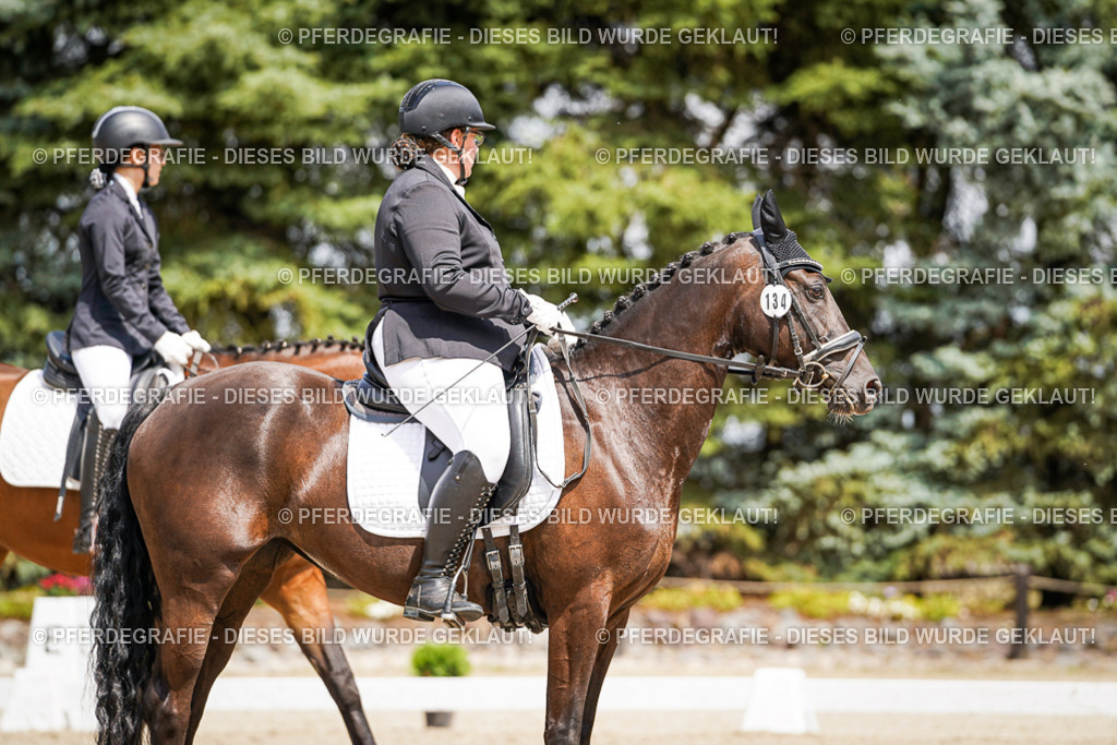 DSC02566 | Pferdegrafie