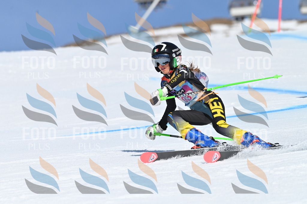 BGV_9320 | holidayphoto