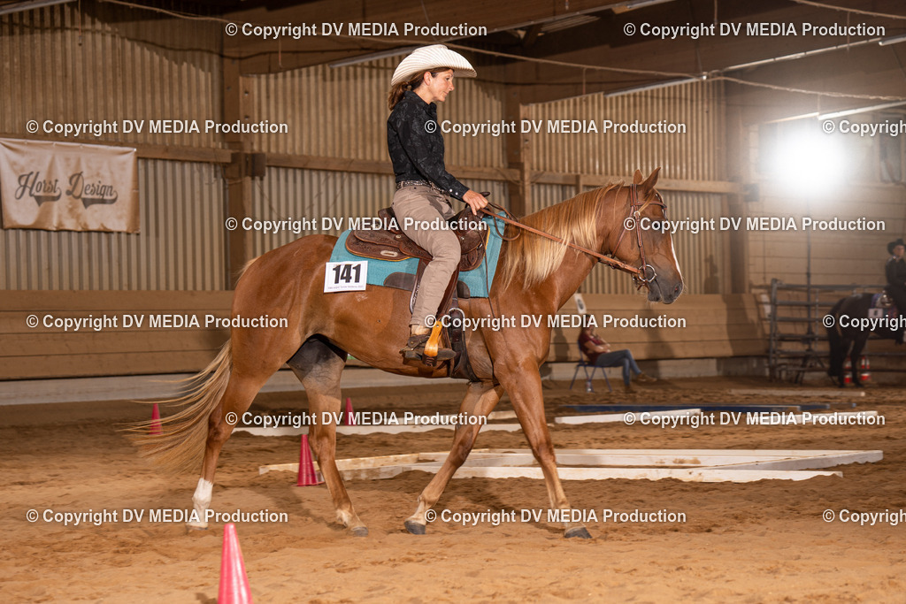 NID00647 | dv-media-shop - Realisiert mit Pictrs.com