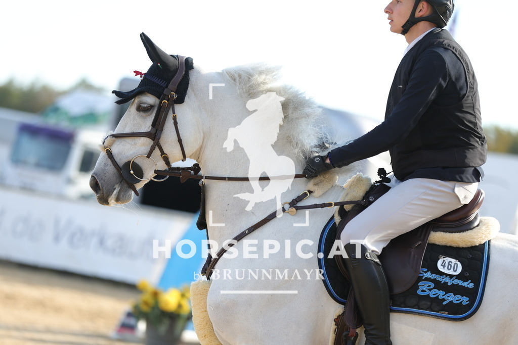 0P6A3956 | Willkommen bei Brunnmayr - Design & Fotografie – Ihrem Spezialisten für Reitturniere und Pferdeveranstaltungen in Oberösterreich, Salzburg und Bayern! Seit über 17 Jahren sind wir leidenschaftlich dabei.