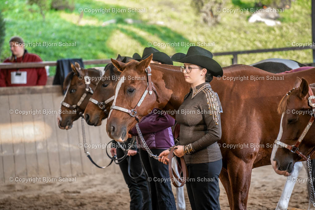 LMB07924 | BS-foto
