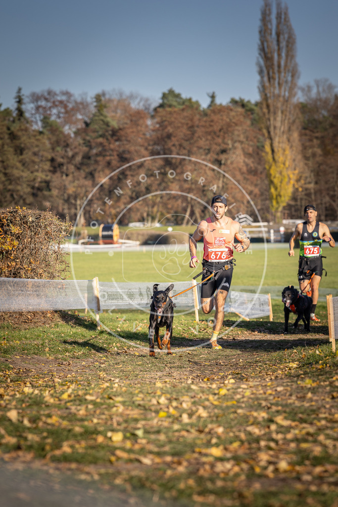 CaniXpix_DV3A0933 | Hundefotografie, Tierfotograf, Pfotenfotografie, Fotoshooting Hund, Hunde Portrait, Hundesport, Hundeportraits, Heideshooting, Hunde, Sportfotograf, Hundefotograf, Turnierhundsport, THS,  - Realisiert mit Pictrs.com
