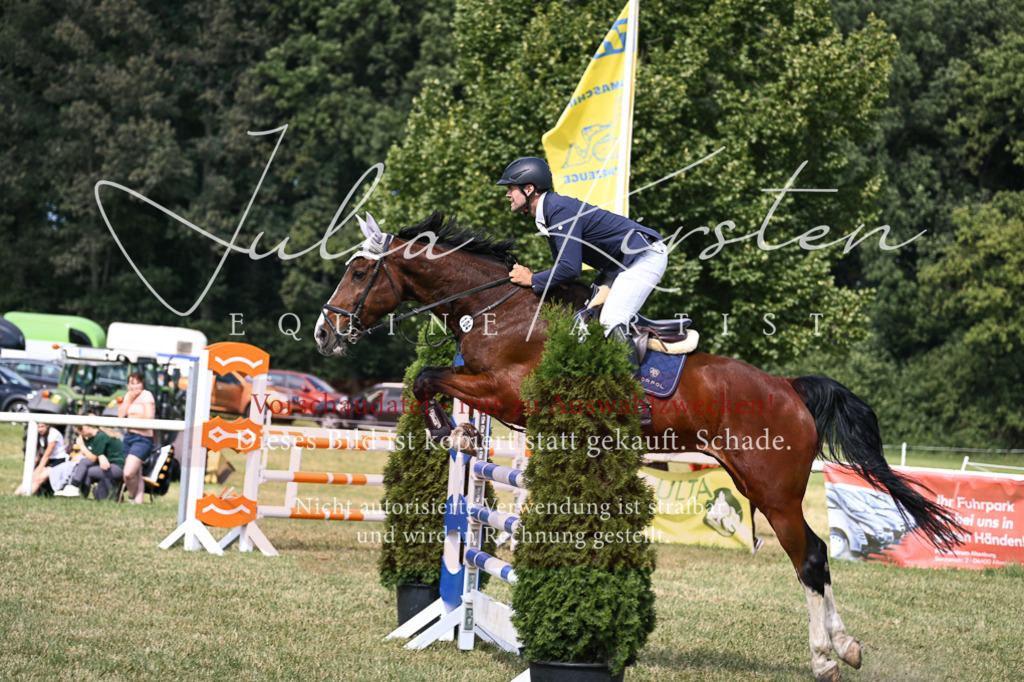 DSC_0781 | Pferde- und Turnierfotografie in Westsachsen. Pferdeportraits, Auftragszeichnungen und intuitive Kunst.