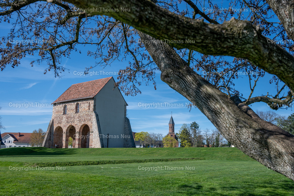 DSC_2161 | ble, Kloster Lorsch, Schattenwurf,Unesco Weltkulturerbe,  , hinte,, Bild: Thomas Neu