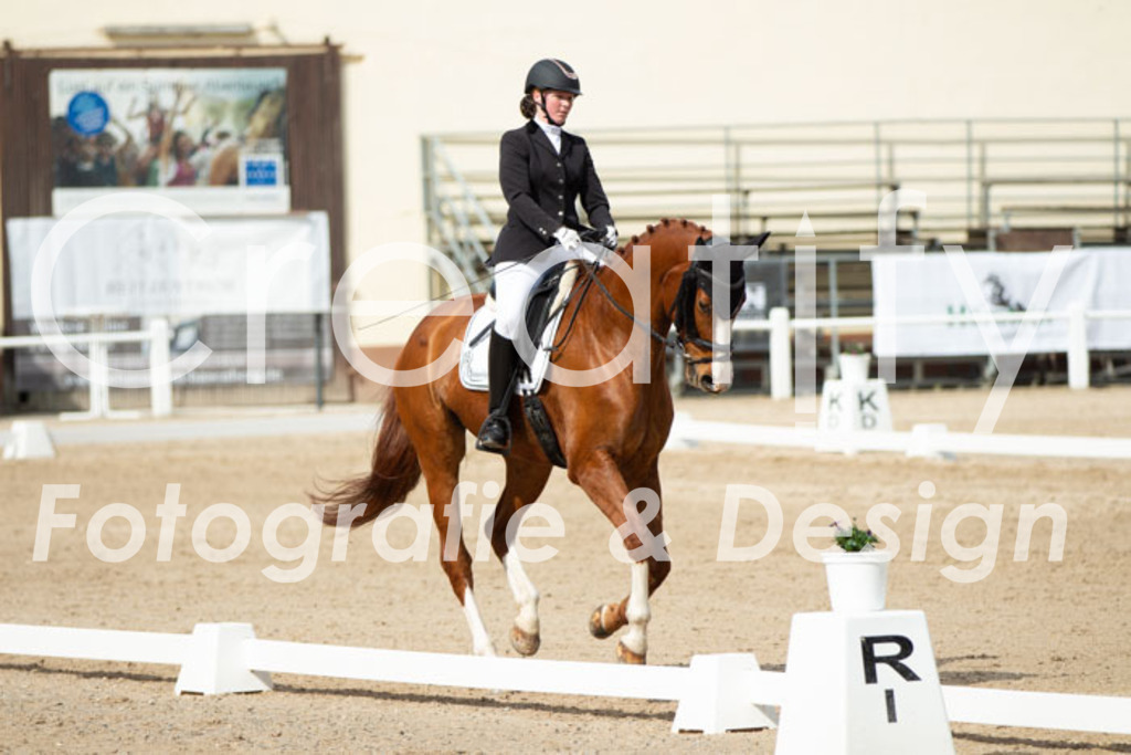 IMG_1362 | Creatify Fotografie