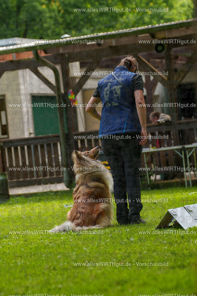 @allesWIRTHgut_Tierfotografie - www.allesWIRTHgut.de - 095635-7R507875 | Professionelle Tierfotografie in Mönchengladbach von Daniel Wirth (allesWIRTHgut). Liebevolle & natürliche Bilder von Hunden & Katzen für unvergessliche Erinnerungen.