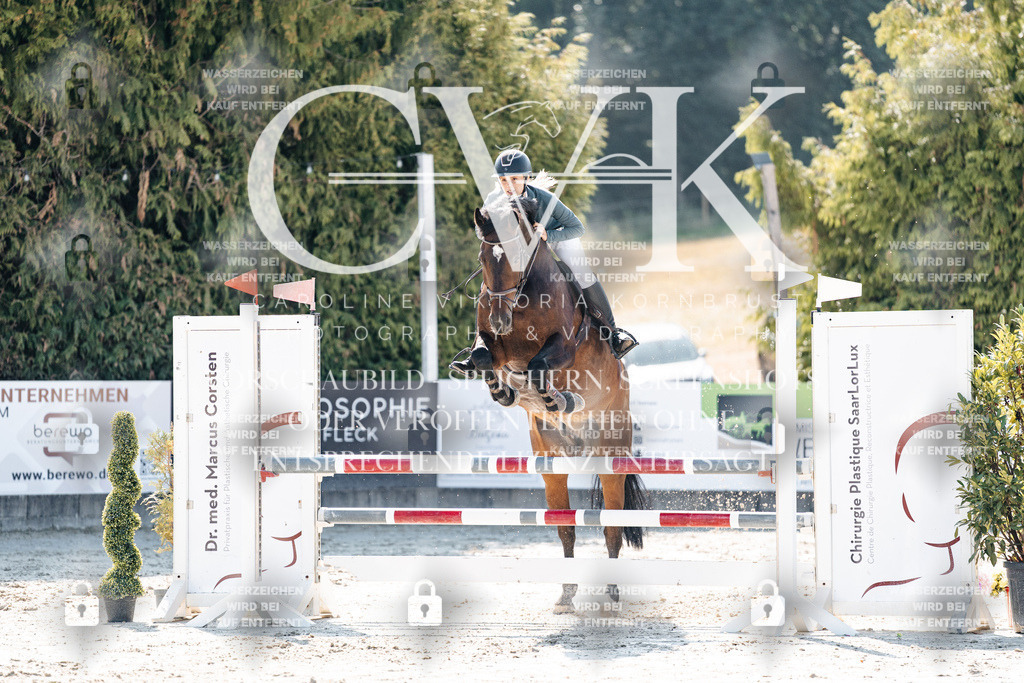 CK907975 | Turnierfotografie Pferdefotografie Trier Rheinland-Pfalz Pferdesport Reitsport Tierfotografie Sportfotografie Pferdevideo Pferdevideografie Equestrianvideography equestrianphotography  - Realisiert mit Pictrs.com