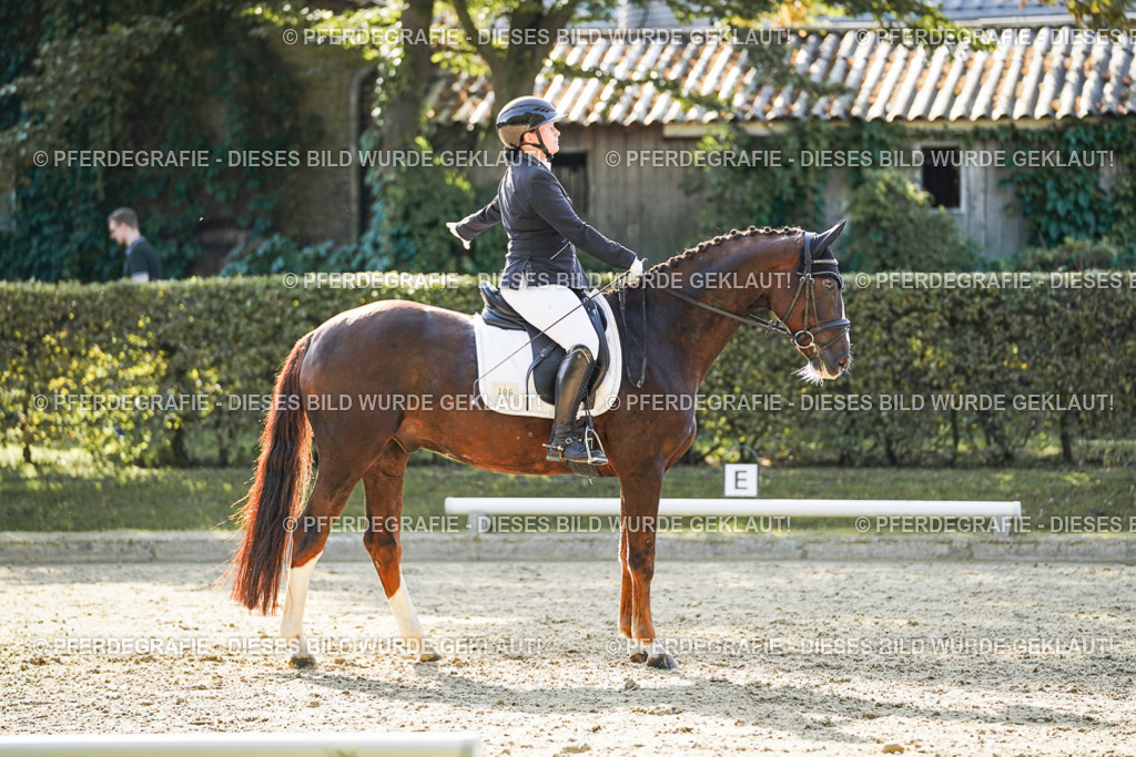 DSC06417 | Pferdegrafie