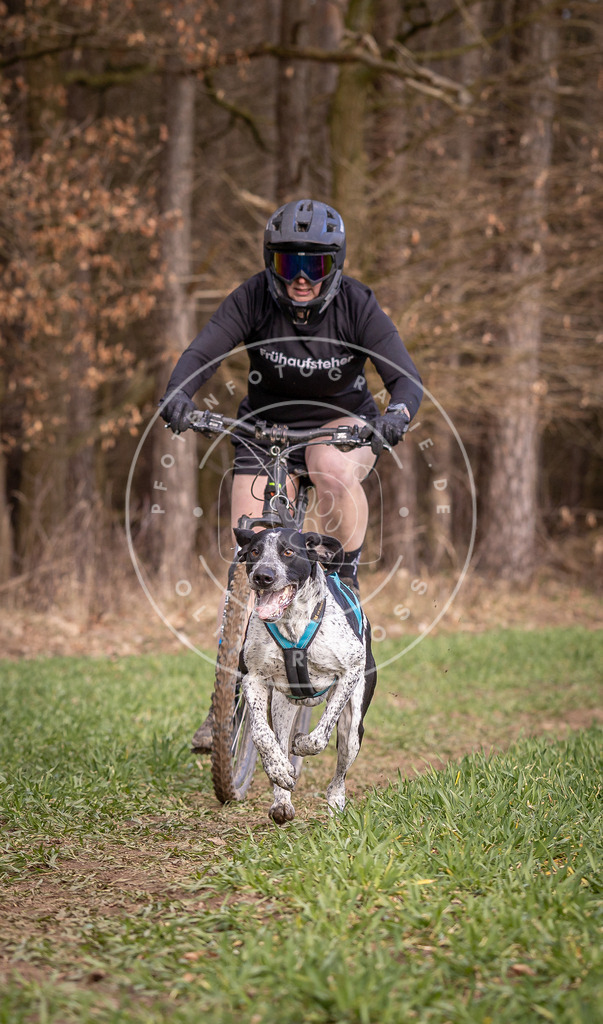 DV3A6166 | Hundefotografie, Tierfotograf, Pfotenfotografie, Fotoshooting Hund, Hunde Portrait, Hundesport, Hundeportraits, Heideshooting, Hunde, Sportfotograf, Hundefotograf, Turnierhundsport, THS,  - Realisiert mit Pictrs.com