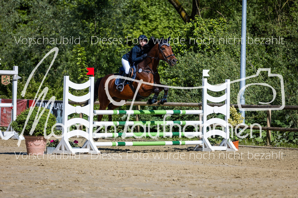 Donop24-A2Spr-117 | MomenTaufnahmen Pferdesportfotos