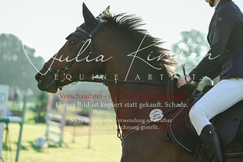 DSC_3960 | Pferde- und Turnierfotografie in Westsachsen. Pferdeportraits, Auftragszeichnungen und intuitive Kunst.