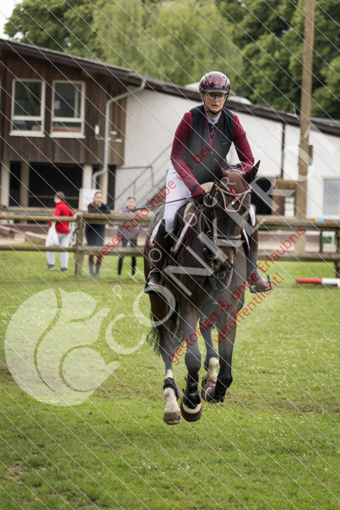 IMG_2460 | Sport-, Event- und Tierfotos in Profiqualität. Einfach auswählen, bestellen und herunterladen. Dein Moment – perfekt festgehalten.
