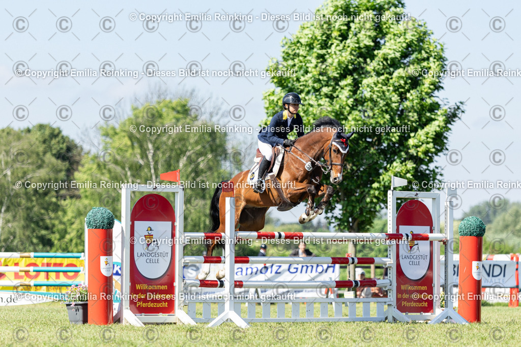 CL5A7136 | Emilia Reinking Fotografie - Realisiert mit Pictrs.com