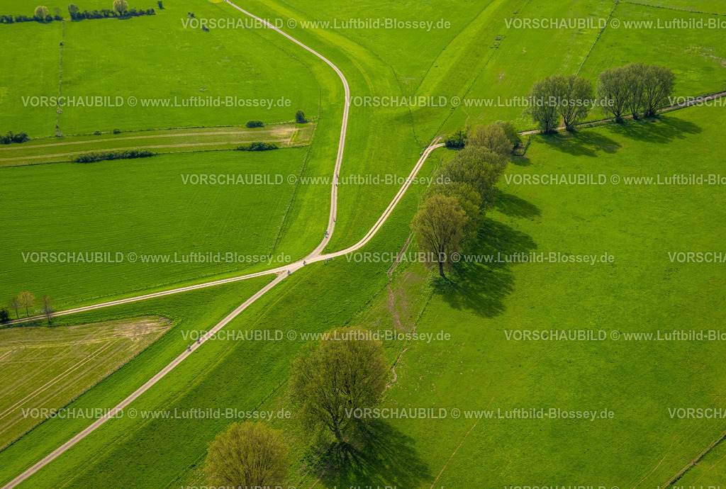 Wesel240402157BislicherInsel-Wesel | Luftbild, NSG Naturschutzgebiet Bislicher Insel Auenlandschaft, Radfahrer und Wegkreuzung an grünen Wiesen mit Bäumen, Eyländer Weg, Formen und Farben, Werrich, Wesel, Niederrhein, Nordrhein-Westfalen, Deutschland