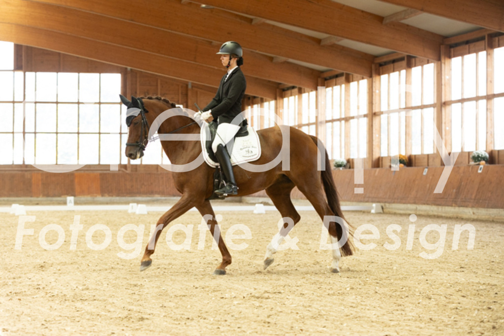 IMG_1229 | Creatify Fotografie