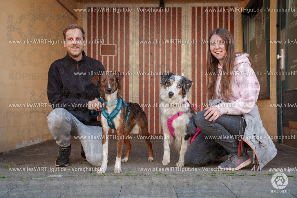 Pfötchenmarkt Nettetal-Lobberich 2026 - Nettetal-Tag - Daniel Wirth - www.allesWIRTHgut.de - @allesWIRTHgut_Tierfotografie 7R508047 | Professionelle Tierfotografie in Mönchengladbach von Daniel Wirth (allesWIRTHgut). Liebevolle & natürliche Bilder von Hunden & Katzen für unvergessliche Erinnerungen.