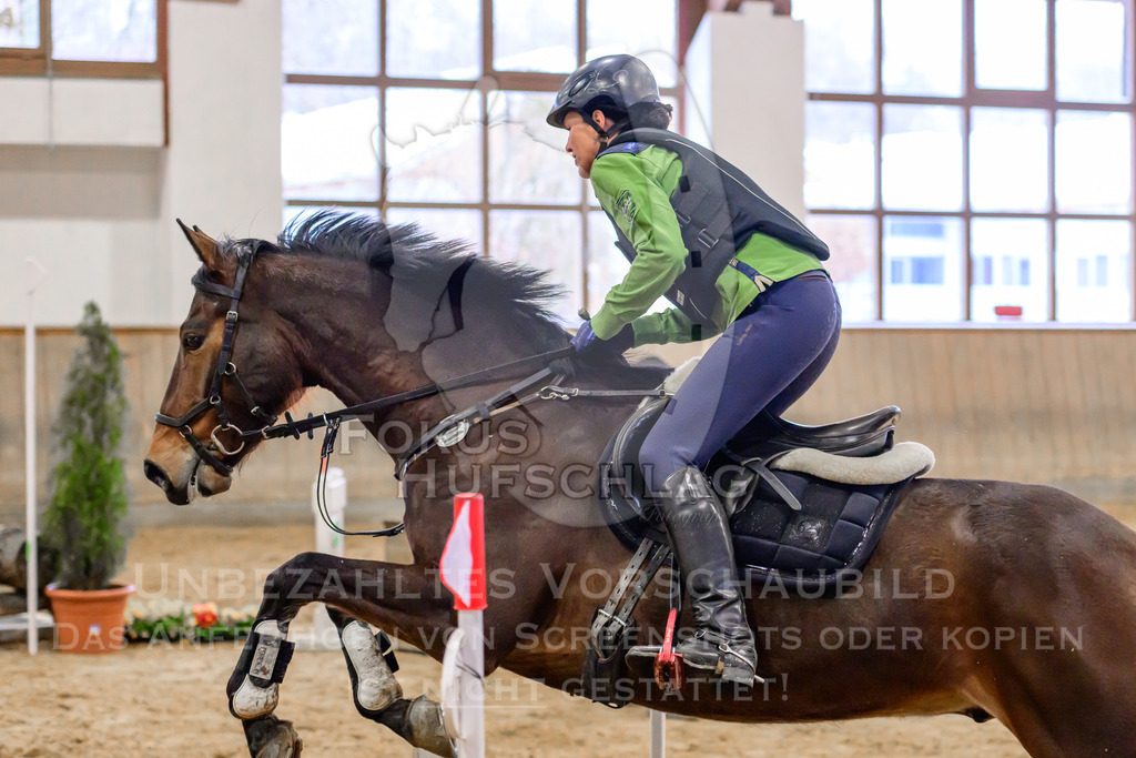 29032026-Schwaiganger-Prfg03-1-1274 | Fokus Hufschlag Fotografie - Realisiert mit Pictrs.com