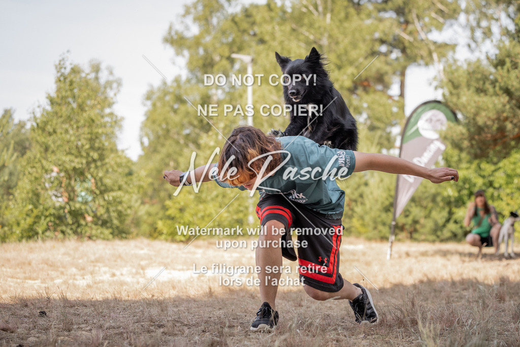 nelerasche_soDD2_345 | nelerasche