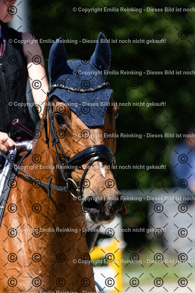 CL5A0468 | Emilia Reinking Fotografie - Realisiert mit Pictrs.com