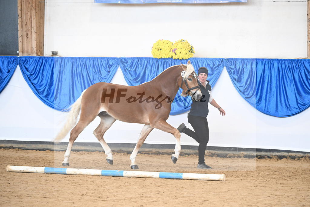 Kat-Nr. 31 Weinbrand v. Weingold S_Brugger_48251144 | hf-fotografie - Realisiert mit Pictrs.com