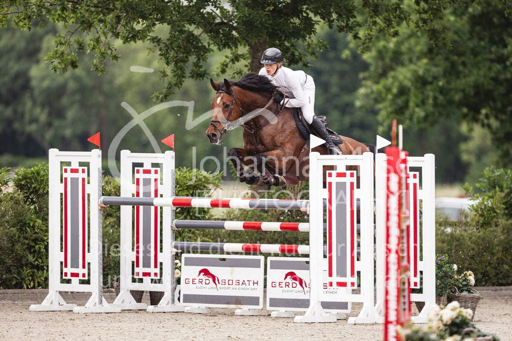 250622_Lemwerder_M2-SprmstAnf-806 | Deine schönsten Turniermomente als professionelle Fotos! Entdecke hochwertige Pferdesport-Fotografie im Online-Shop. Jetzt Fotos finden & bestellen!