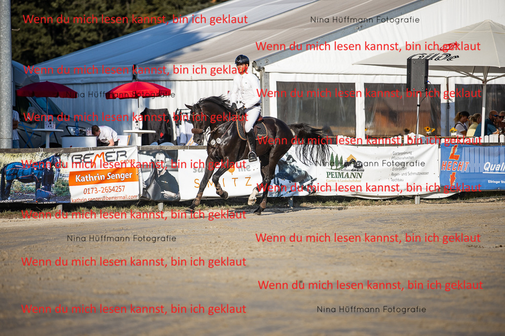 BK1A8786 | Turnierbilder Turnierfotos Nina Hüffmann Turnierfotografie Pferdefotografie Tierzeichnung Haustierzeichnung Pferdezeichnung Hundezeichnung Videograf  - Realisiert mit Pictrs.com