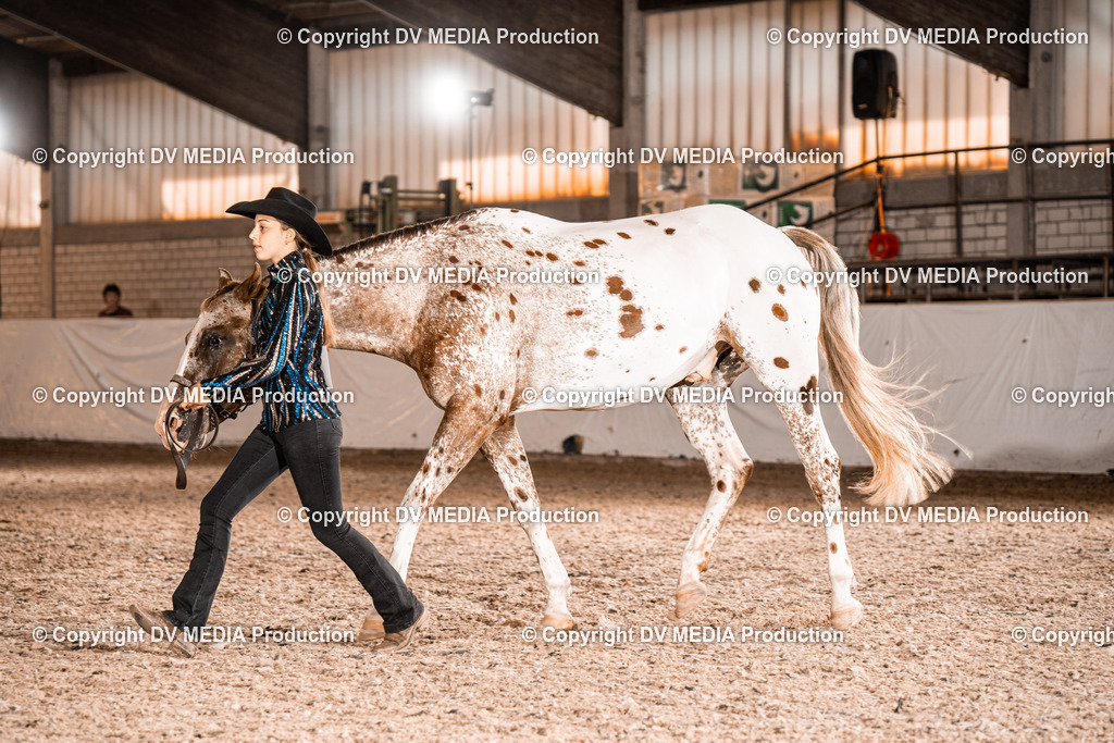 ZH100065 | dv-media-shop - Realisiert mit Pictrs.com