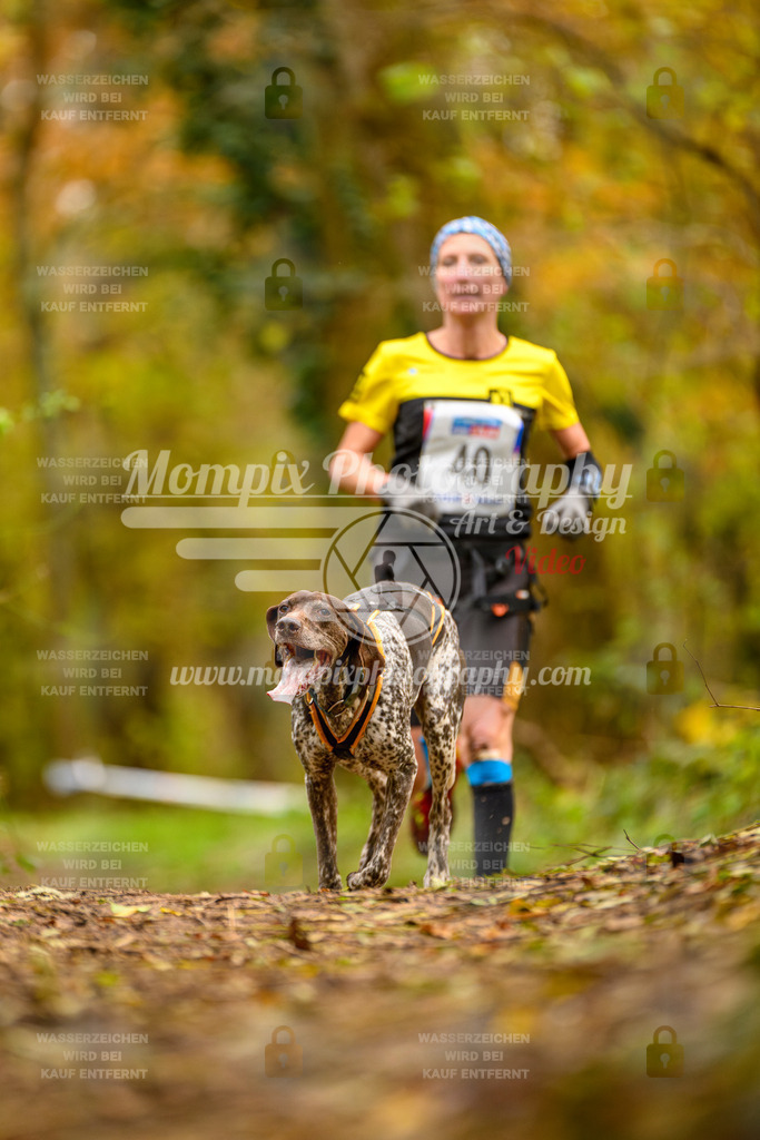 MompixPhotography_Bischwiller24_SA_Canicross-25 | PayLife