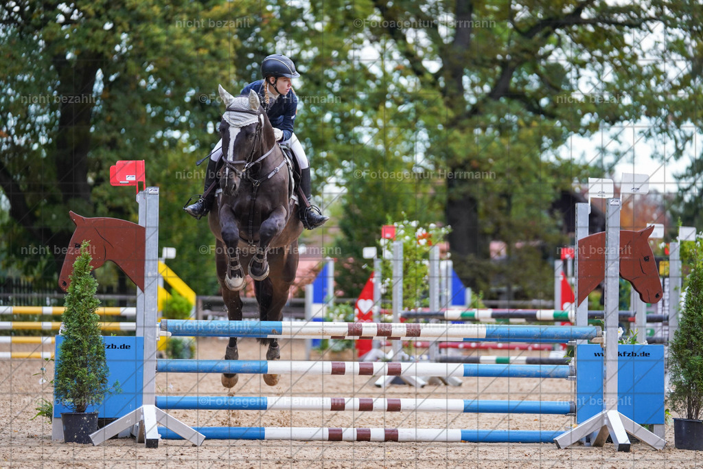 20221009-FAH08270 | Diessen am Ammersee, 2022, Dressur- und Springturnier, Reitsportbilder, Turnierfotografen Bayern, Pferdefotografen, Fotoagentur Herrmann, Turnierbilder