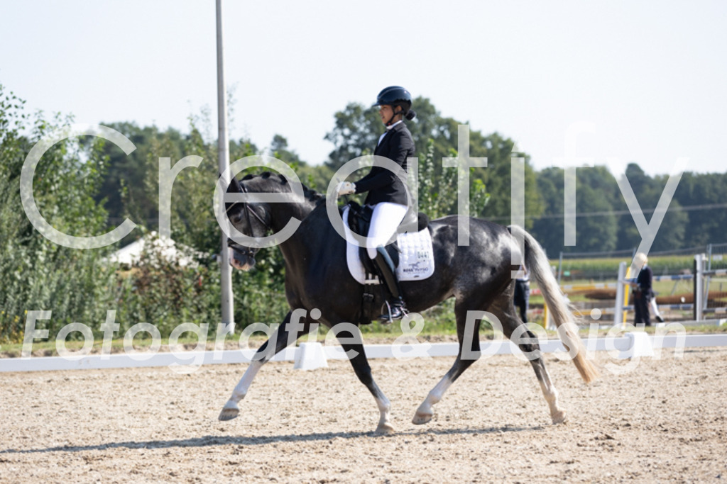 IMG_4431 | Creatify Fotografie