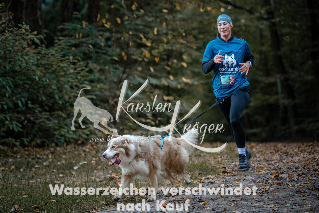 0851_ZZ96282 | kk-dogfotos