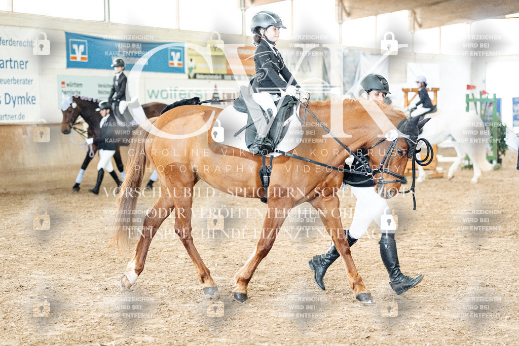 CK905556 | Turnierfotografie Pferdefotografie Trier Rheinland-Pfalz Pferdesport Reitsport Tierfotografie Sportfotografie Pferdevideo Pferdevideografie Equestrianvideography equestrianphotography  - Realisiert mit Pictrs.com