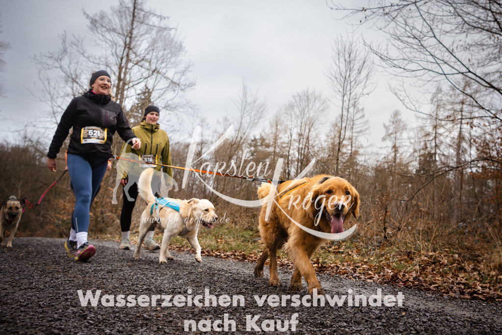 1056_ZZ98221 | kk-dogfotos