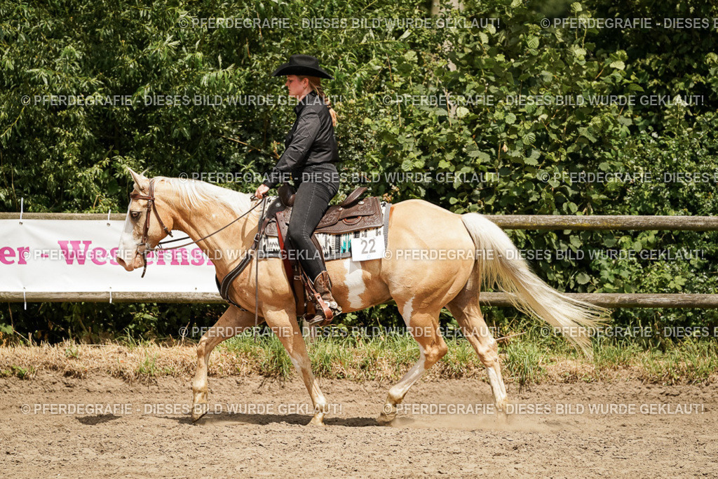 DSC09822 | Pferdegrafie