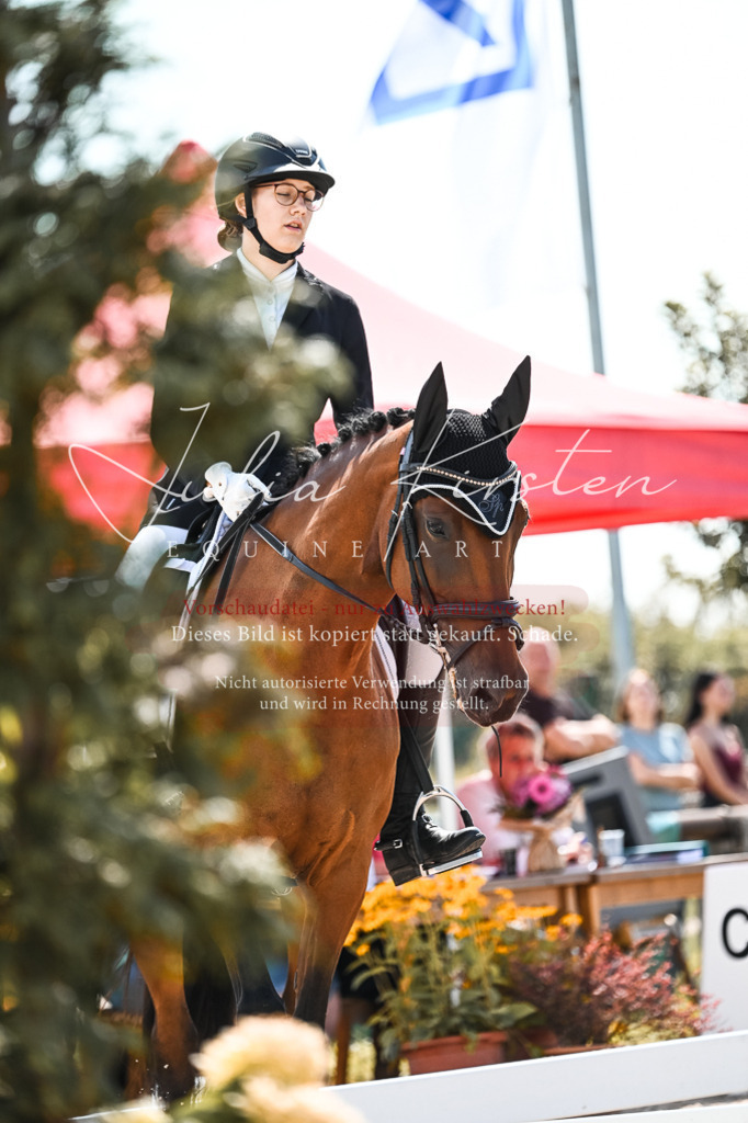 DSC_5478 | Pferde- und Turnierfotografie in Westsachsen. Pferdeportraits, Auftragszeichnungen und intuitive Kunst.