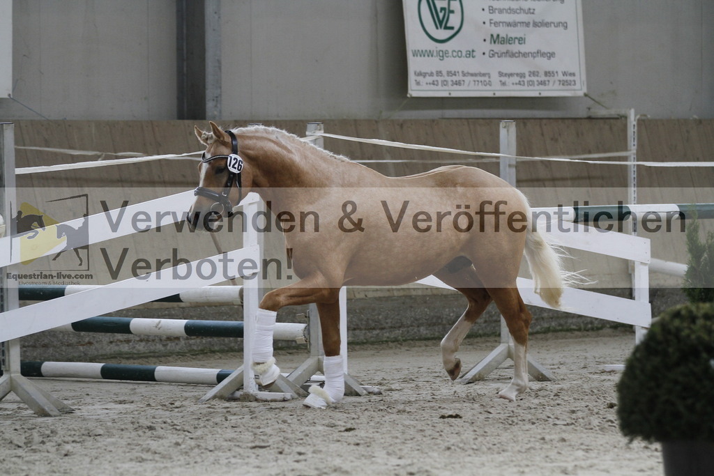 _MG_9764 | equestrian-live-com